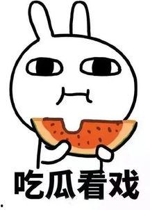 娱乐嗨吃瓜君
